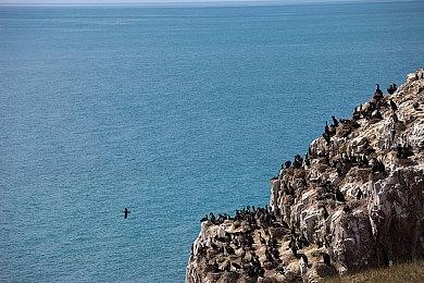 《碧蓝幻想：Relink》将包含超过100个任务